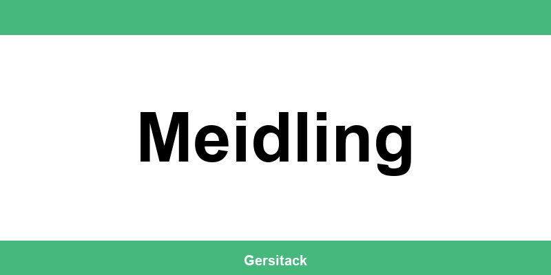 Kontakt und Telefonnummer der ÖGK in Meidling